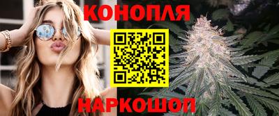 гидропоника Кунгур