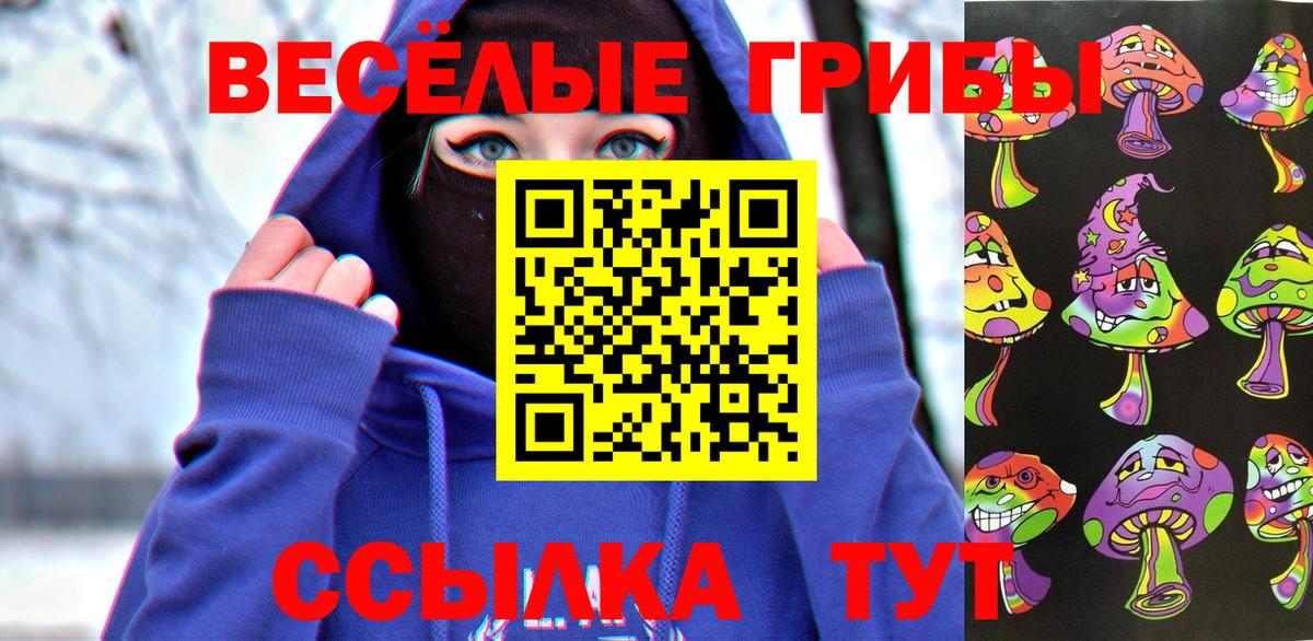 Галлюциногенные грибы Cubensis  Вход с VPN  где купить наркоту  Котовск 